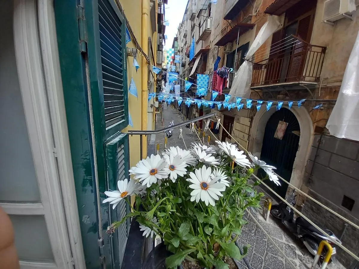Maison Seviglie Naples 0*,  Italy
