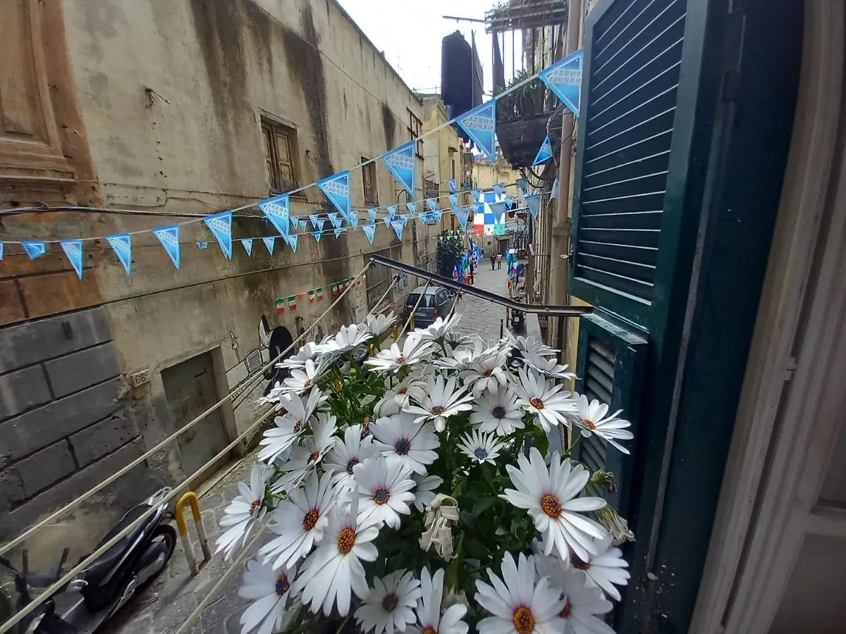 Maison Seviglie Naples Bed & Breakfast